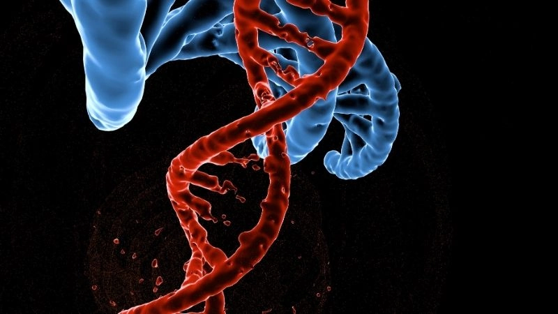 Trí tuệ nhân tạo