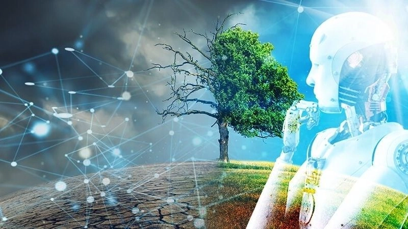 Phân tích dữ liệu