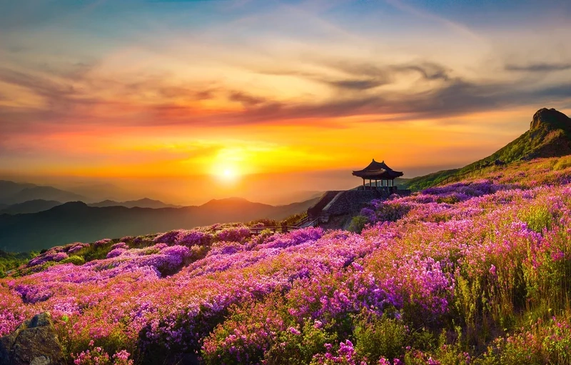 Trang trí mạng xã hội bằng ảnh đại diện phong cảnh