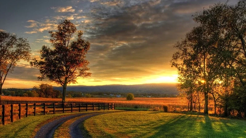 Khám phá vẻ đẹp tinh tế với ảnh bìa đẹp về thiên nhiên