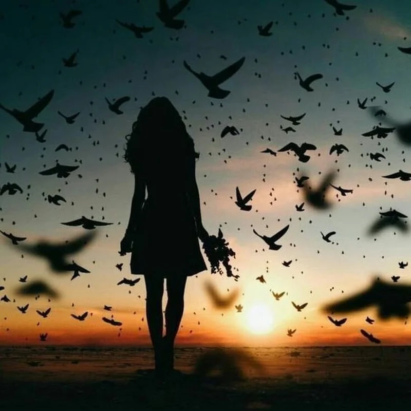 Ngắm xa cách với ảnh buồn yêu xa sâu lắng