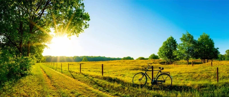 Cảm nhận mùa hè rực rỡ với ảnh phong cảnh mùa hè