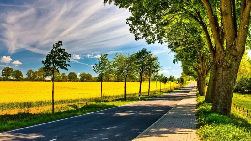 Khám phá nghệ thuật tươi sáng với tranh phong cảnh mùa hè