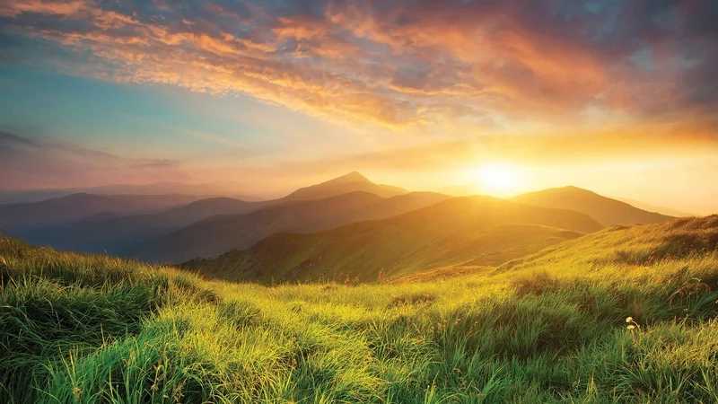 Thưởng ngoạn vẻ đẹp sống động qua tranh vẽ cảnh mùa hè đẹp