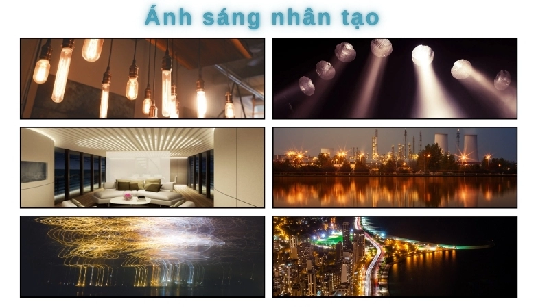  Ánh sáng nhân tạo gây tác động môi trường lên động vật hoang dã