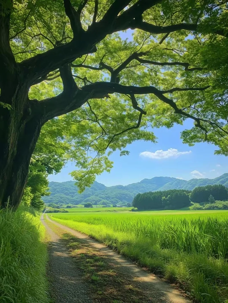 Tận hưởng vẻ đẹp tự nhiên qua ảnh cảnh đẹp thiên nhiên