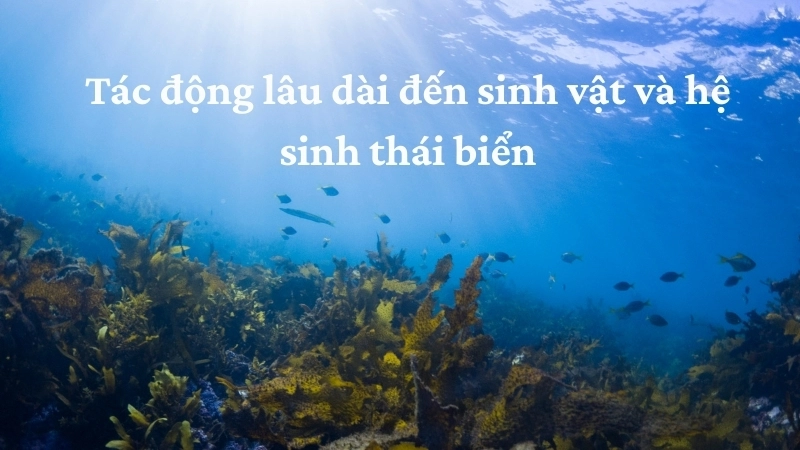 Tác động lâu dài đến sinh vật và hệ sinh thái biển