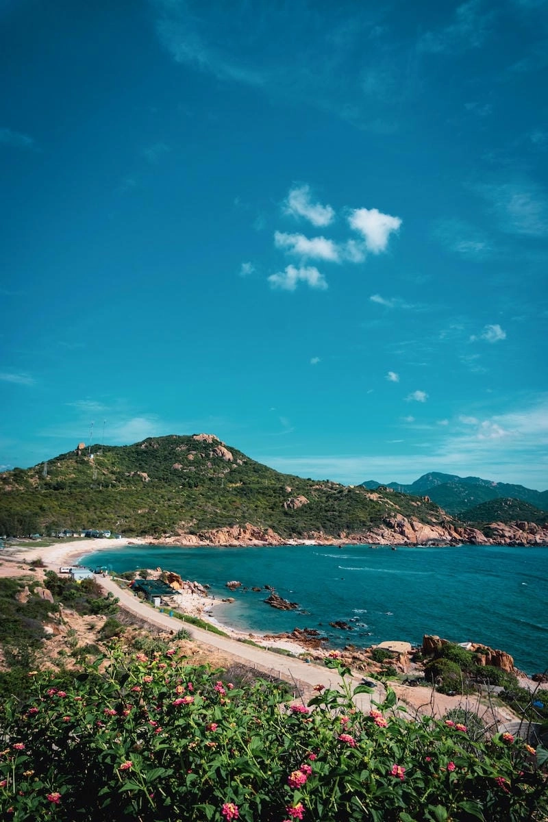 Vẻ đẹp Bãi Chướng cảnh hoang sơ cuốn hút mọi người