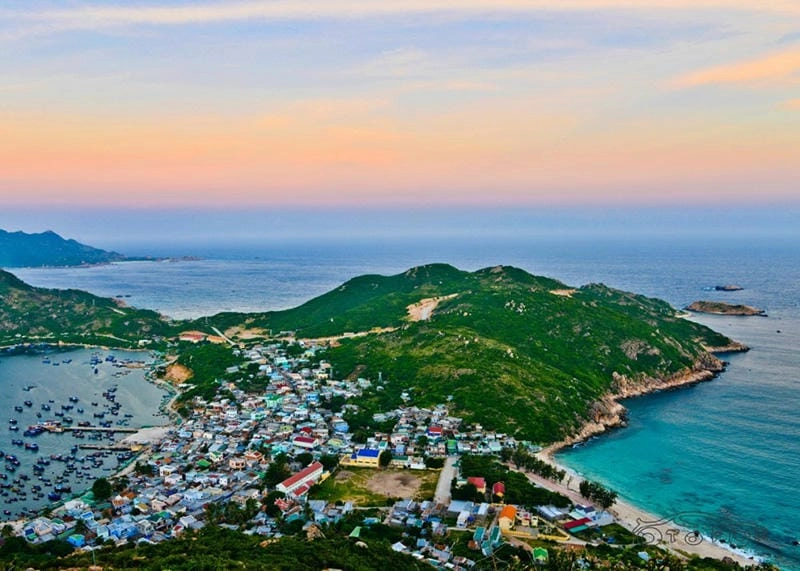 Khám phá Bình Ba lặn san hô dưới đáy biển