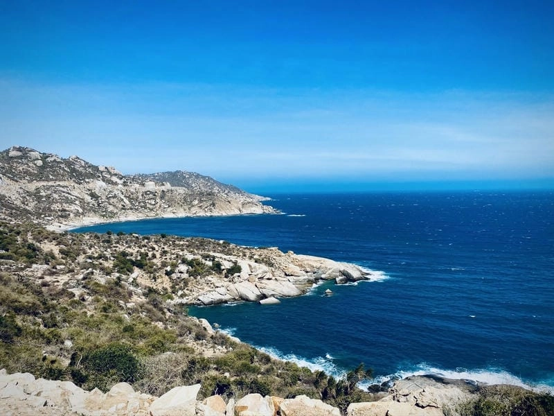 Thưởng thức hải sản Bãi Cà Ná