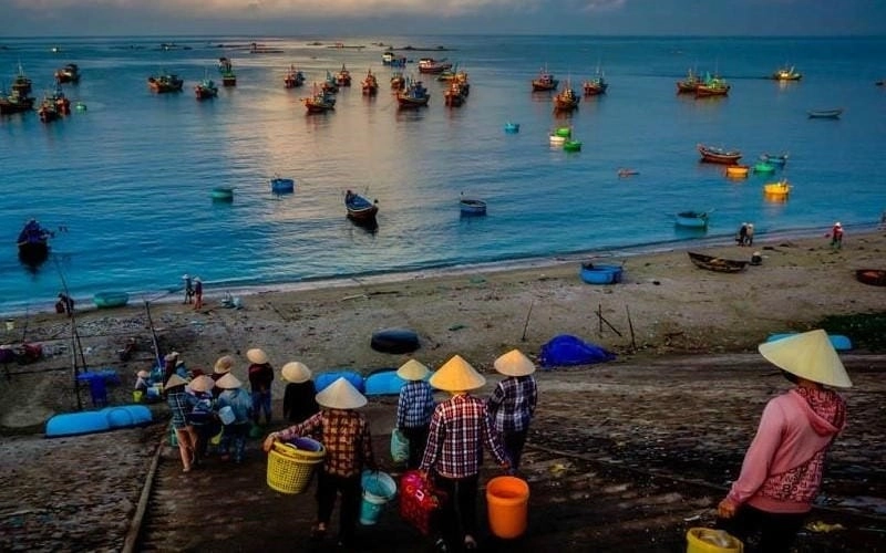 Vui chơi trên Cà Ná bãi cát dài bất tận