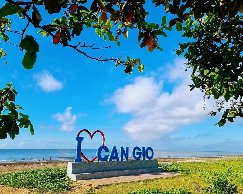 Tìm hiểu vẻ đẹp bình yên của bãi biển Cần Giờ