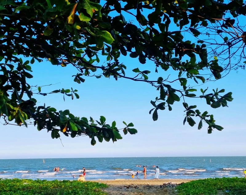 Khám phá bãi biển Cần Giờ có đẹp không