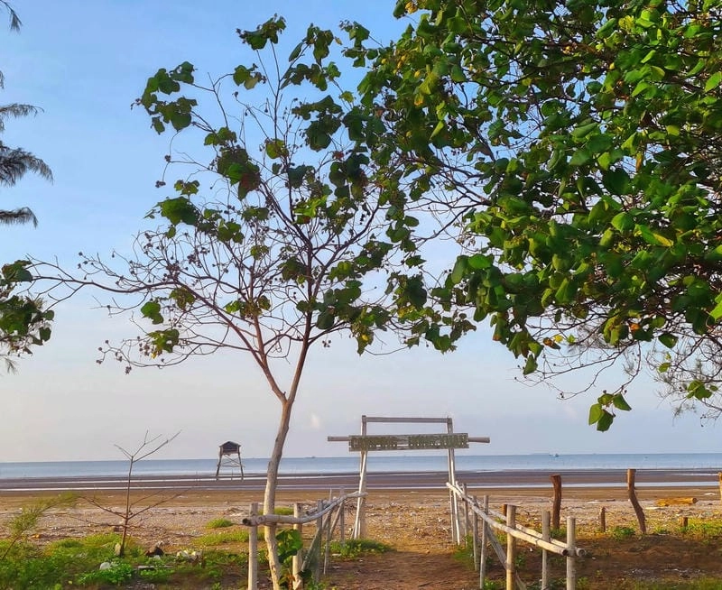 Đi biển cần mang những gì để có chuyến đi trọn vẹn