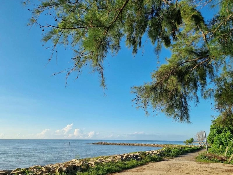 Gợi ý khách sạn gần bãi biển Cần Giờ cho chuyến đi của bạn