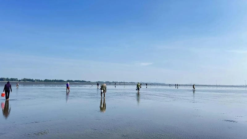 Khung cảnh Cần Giờ hoàng hôn thật bình yên