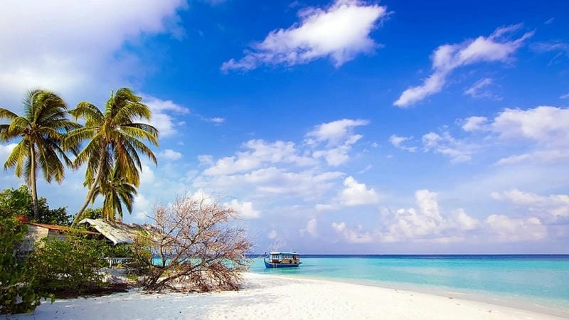 Vui chơi trên Cảnh Dương bãi cát dài bất tận