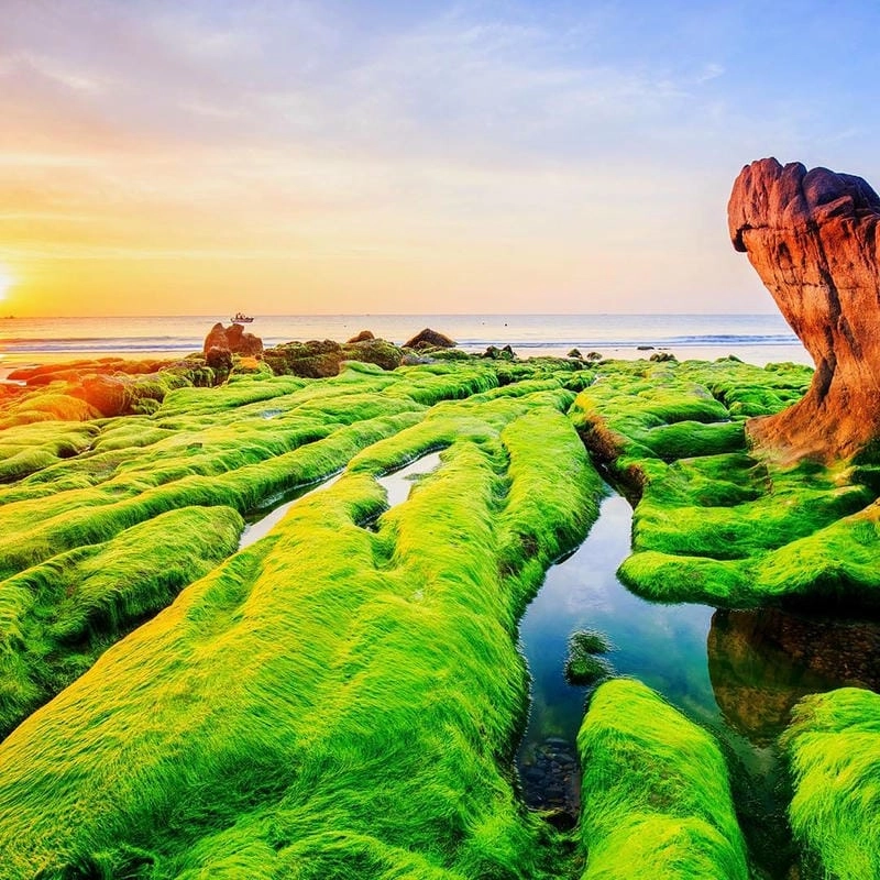 Khám phá bãi biển Phan Thiết Bình Thuận