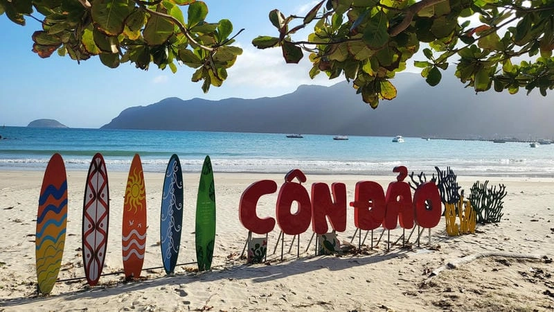 Khám phá Côn Đảo lặn san hô dưới đáy biển