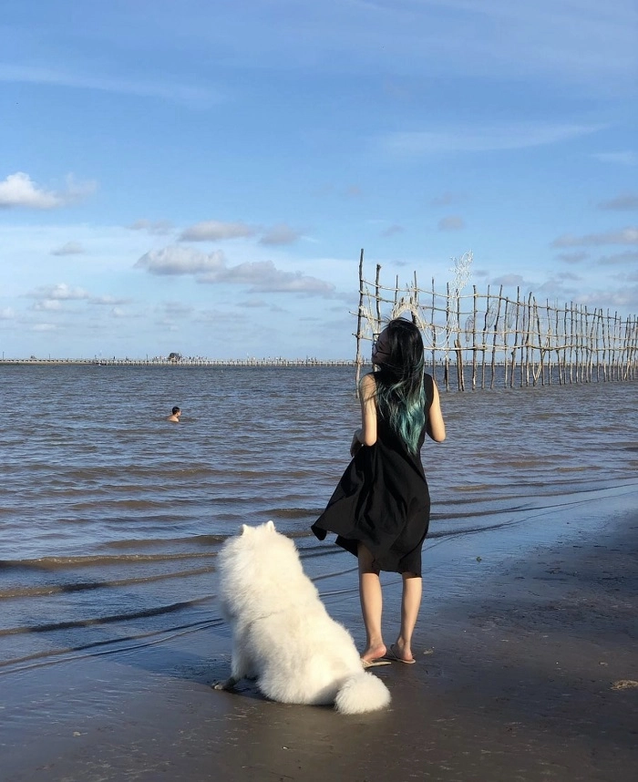 Kinh nghiệm du lịch Bãi Cồn Đen