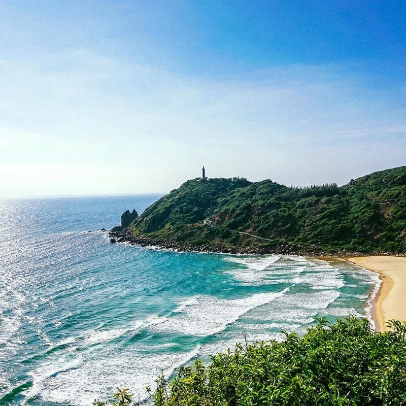 Thưởng thức hải sản Bãi Đại Lãnh