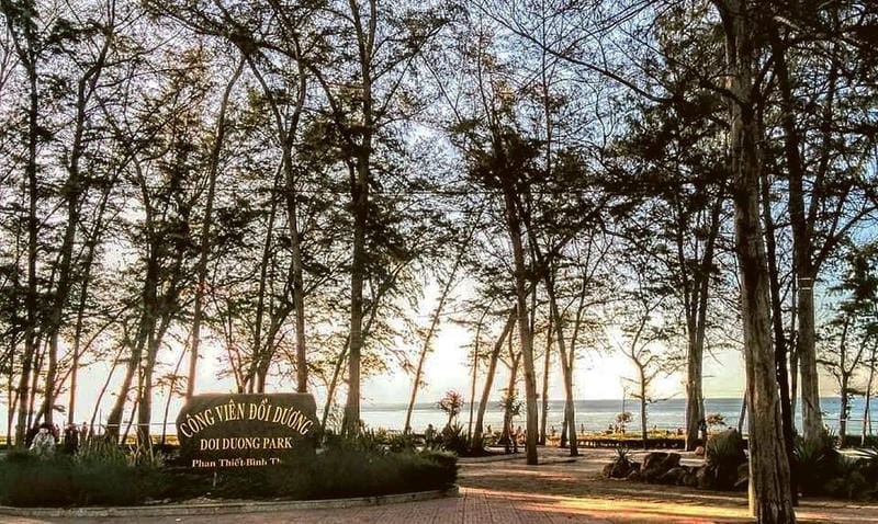 Khám phá bãi biển Đồi Dương Phan Thiết