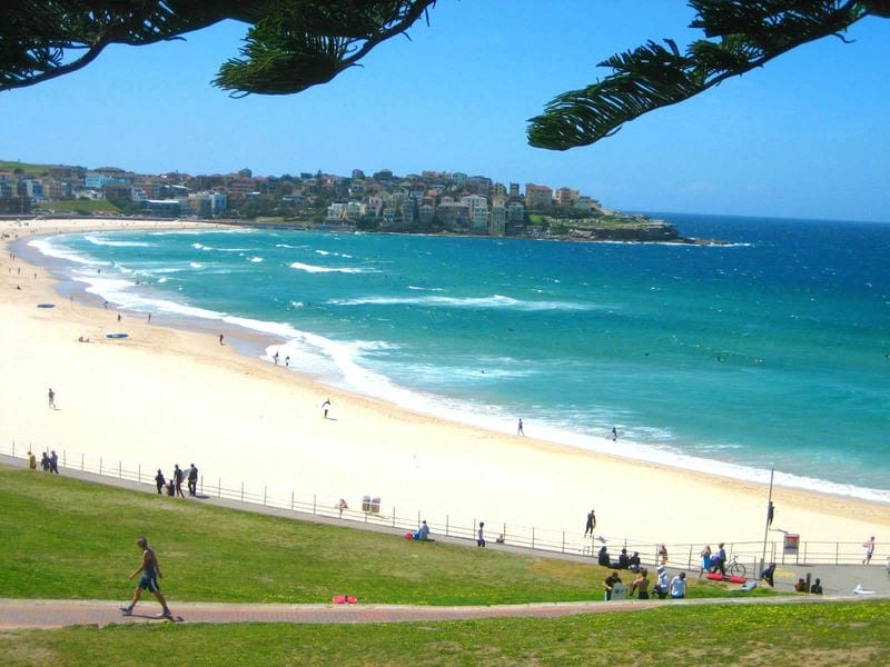 Tìm hiểu giới thiệu sơ lược về bãi biển Đồi Dương