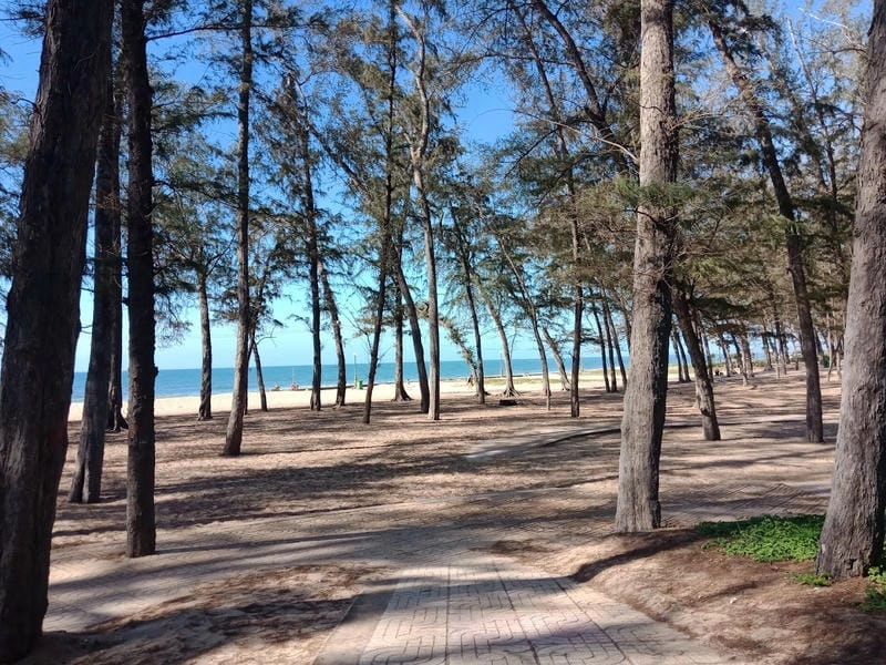 Vui chơi trên Đồi Dương bãi cát dài bất tận