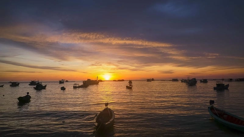 Khám phá Gành Dầu lặn san hô dưới đáy biển