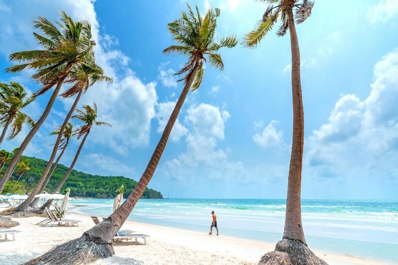 Tìm hiểu vẻ đẹp bình yên của bãi biển Gành Dầu