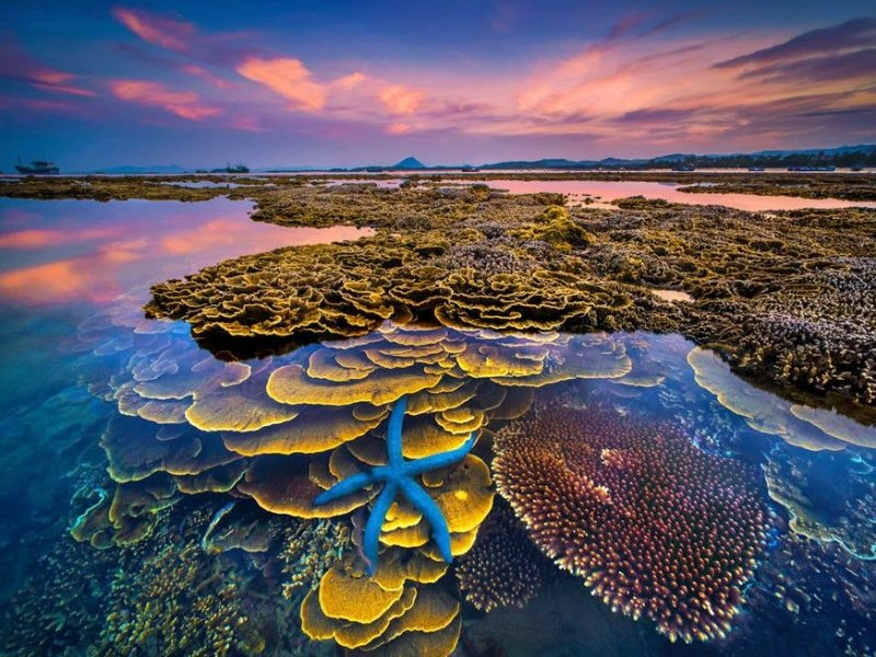 Thời điểm lý tưởng để khám phá Gành Yến là từ tháng 5 đến tháng 8