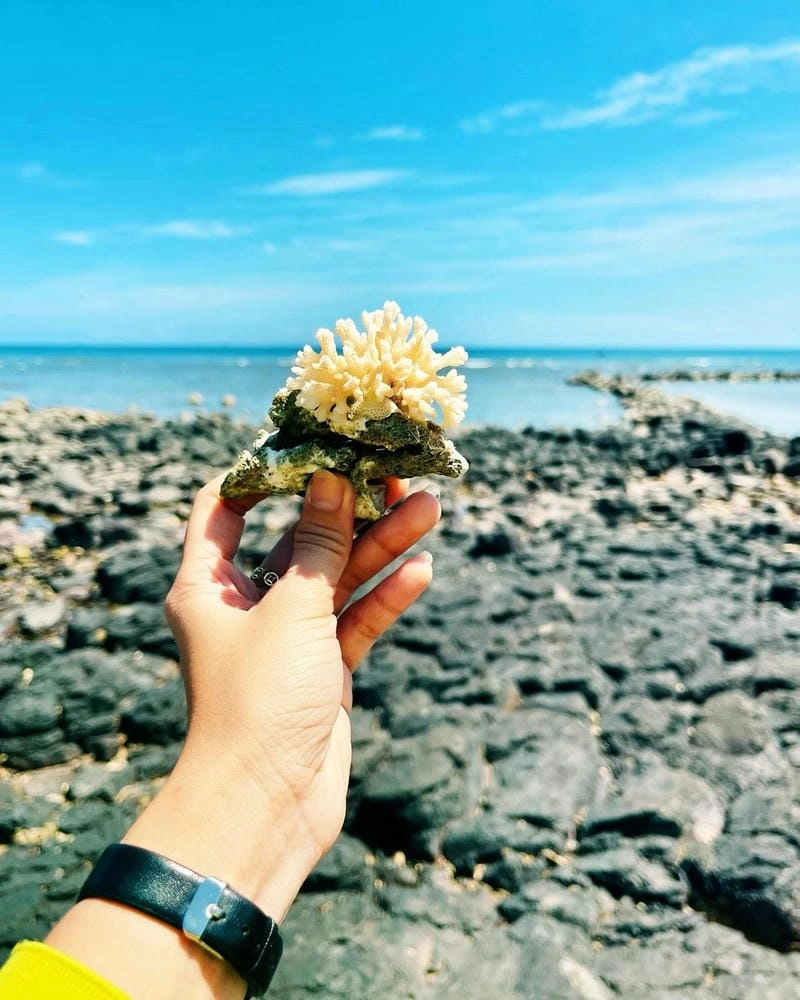 Chụp ảnh cùng Gành Yến đá núi lửa độc đáo