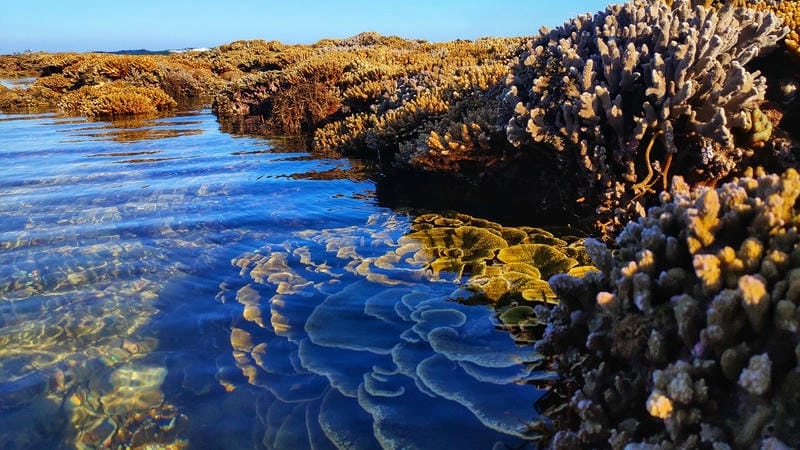 Tận hưởng cảm giác Gành Yến tắm biển sảng khoái