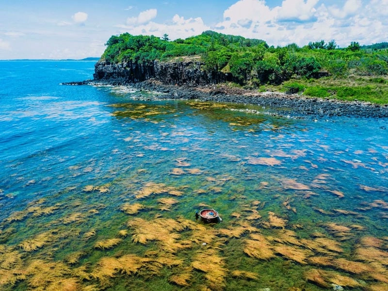 Gành Yến nước trong veo thu hút ánh nhìn