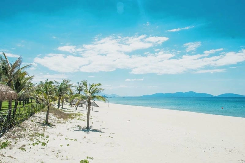 Thưởng thức hải sản Bãi Hà My