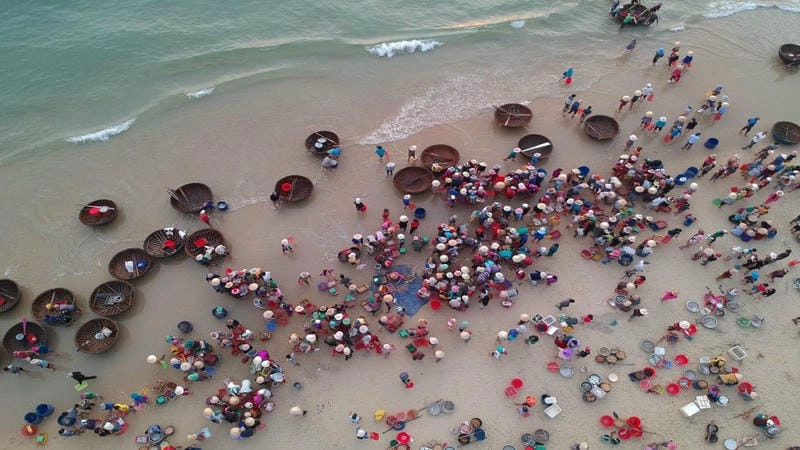 Đọc review Bãi Hạ Thanh chi tiết