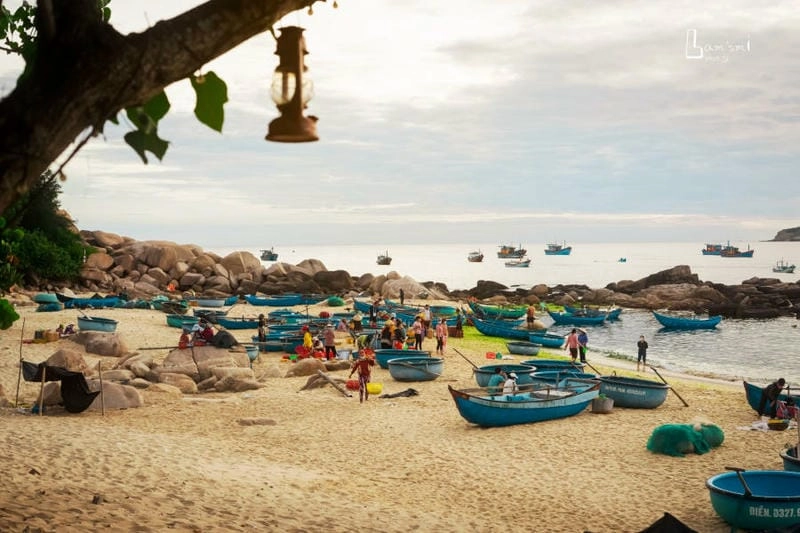 Vẻ đẹp Hải Minh cảnh hoang sơ cuốn hút mọi người