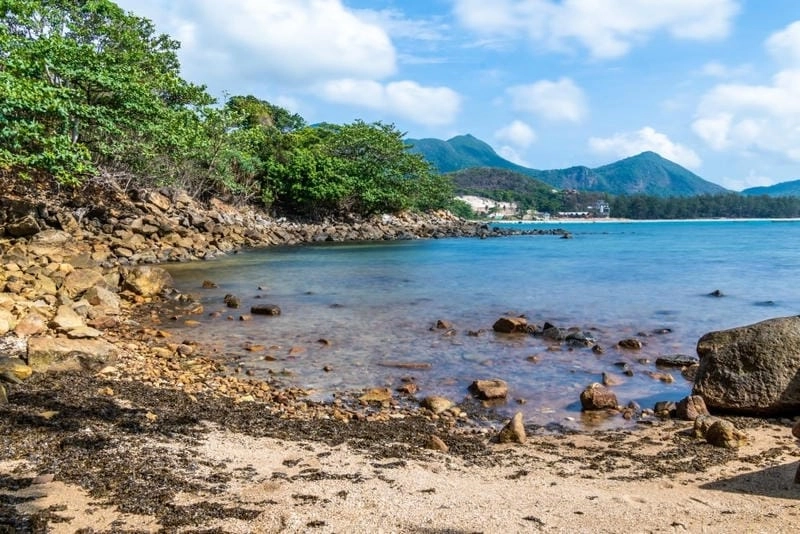 Khám phá Hòn Cau lặn san hô dưới đáy biển