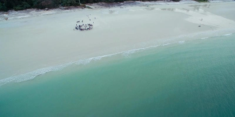 Đọc review Bãi Minh Châu chi tiết