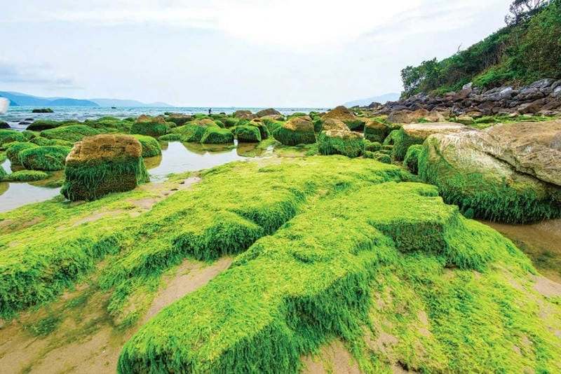 Bãi biển Nam Ô ở đâu