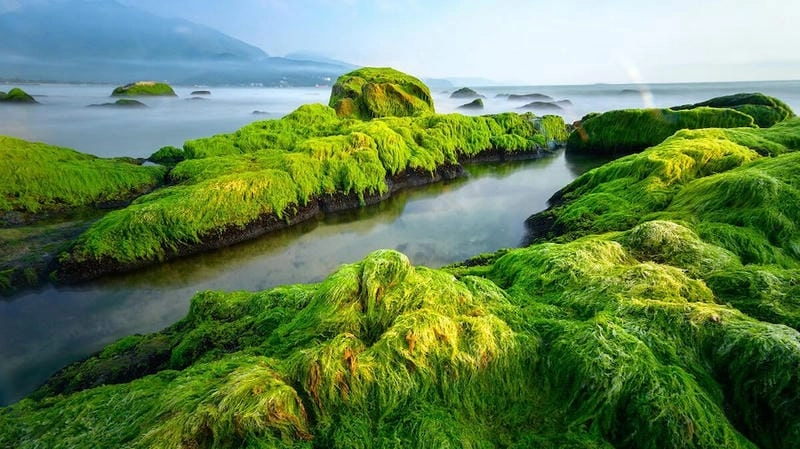 Chiêm ngưỡng hình ảnh của bãi biển Nam Ô tuyệt đẹp