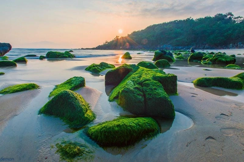 Khám phá khu sinh thái biển Nam Ô