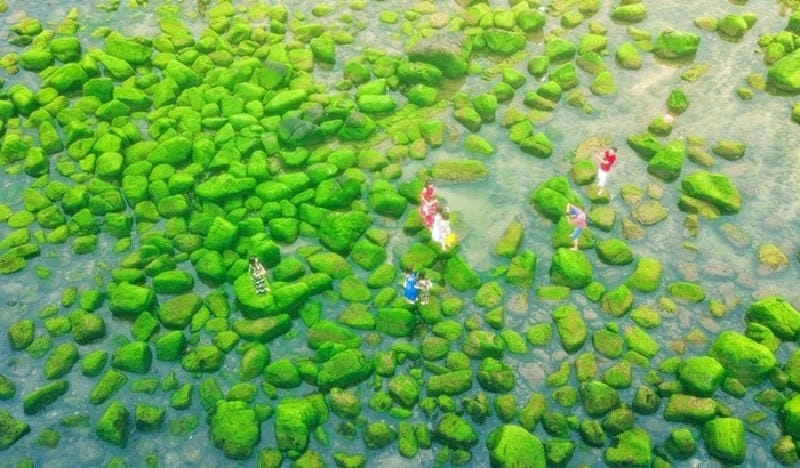 Hướng dẫn du lịch biển Nam Ô