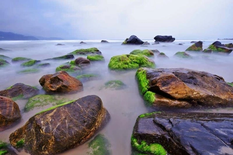 Đắm mình trong làn Nam Ô biển xanh mát lạnh