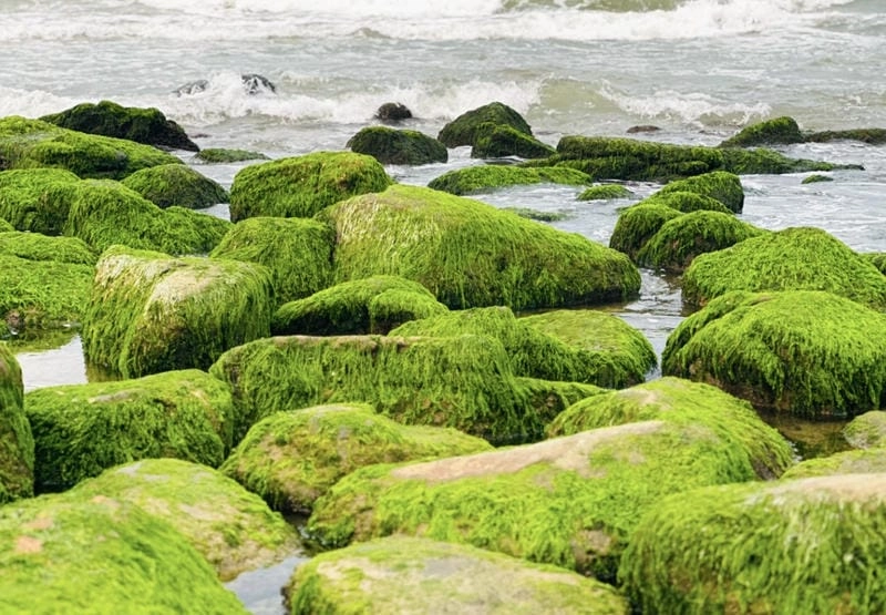 Vui chơi trên Nam Ô bãi cát dài