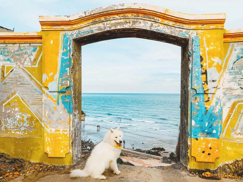 Thưởng thức hải sản Bãi Nghinh Phong