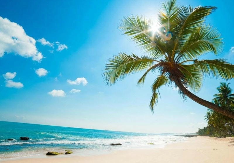 Ngắm toàn cảnh Nha Trang từ trên cao