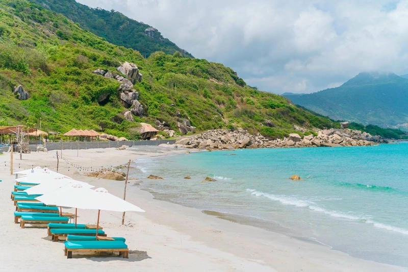 Khám phá Nha Trang lặn san hô dưới đáy biển