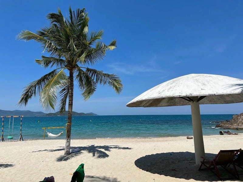 Đọc review Bãi Nhũ Tiên chi tiết