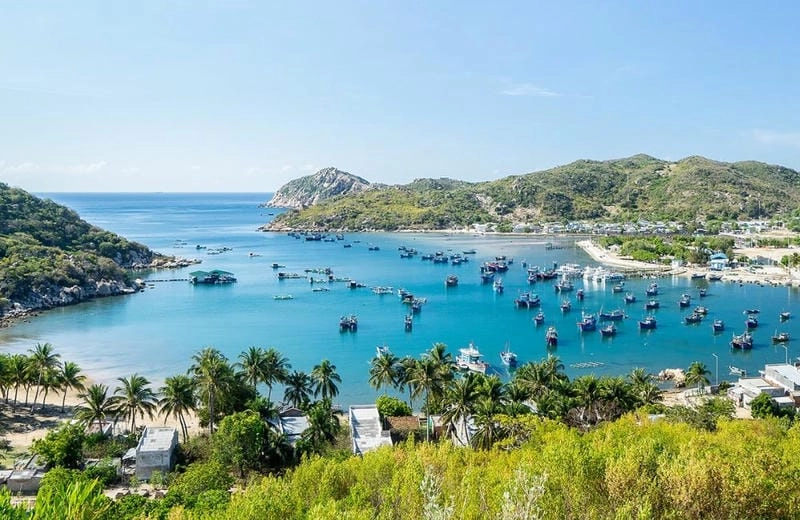 Tìm hiểu vẻ đẹp bình yên của bãi biển Ninh Chữ